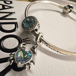 Pandora Bracelet w charms