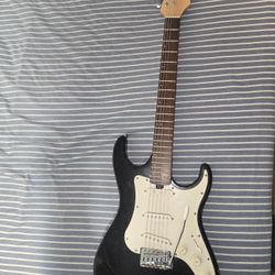 Vinci signature bass guitar