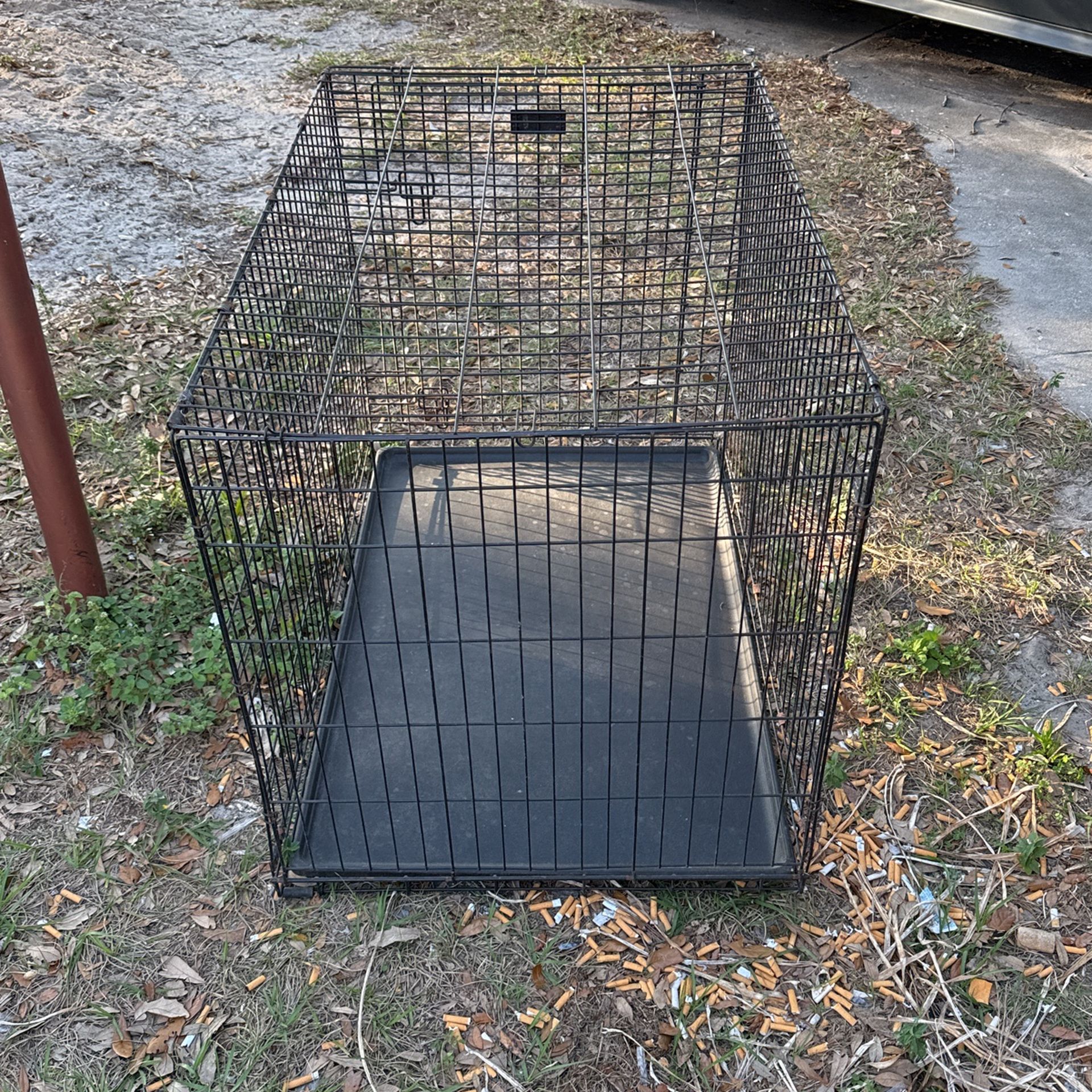 Big Dog Crate