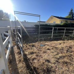 Corral