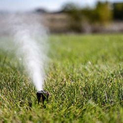 Sprinkler Blowouts 