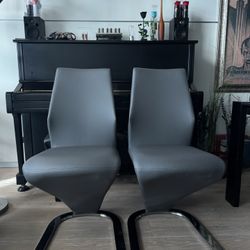 2  Dining Chairs. Chairs For $100