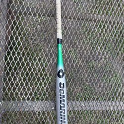 Baseball Bat 
