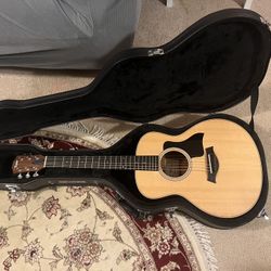 Taylor GS Mini with Hard Case