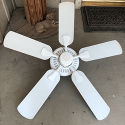 Ceiling Fan