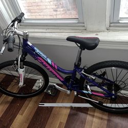 Schwinn Kids Ranger 24”  Purple Mountain Bike