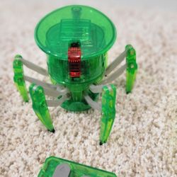 Hexbugs