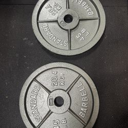CAP 45lb 2-Inch Olympic Weight Plate 