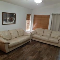 Leather Couches