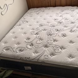 BRAND NEW Soft Impression III - Queen