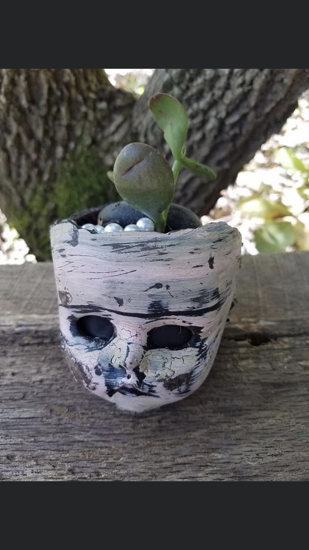 Creepy ass gotta have it planter