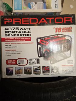 PREDATOR 4317 WATTS Generator 