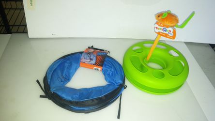 Cat. Tunnel and toy