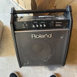 Roland PM200 Drum Speaker 