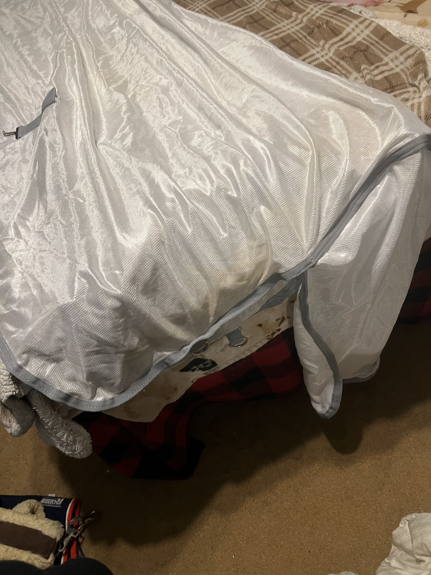 Horse Fly Sheet