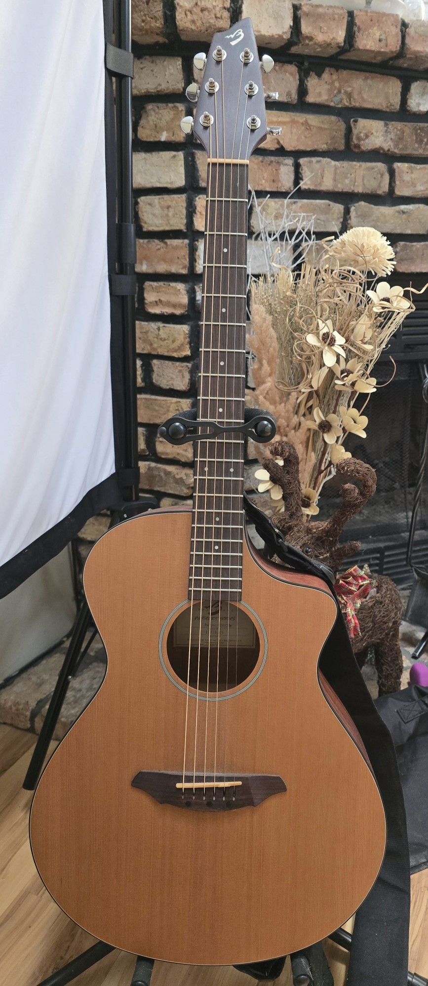 Breedlove Acoustic Guitar 