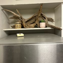 Drift wood for aquarium