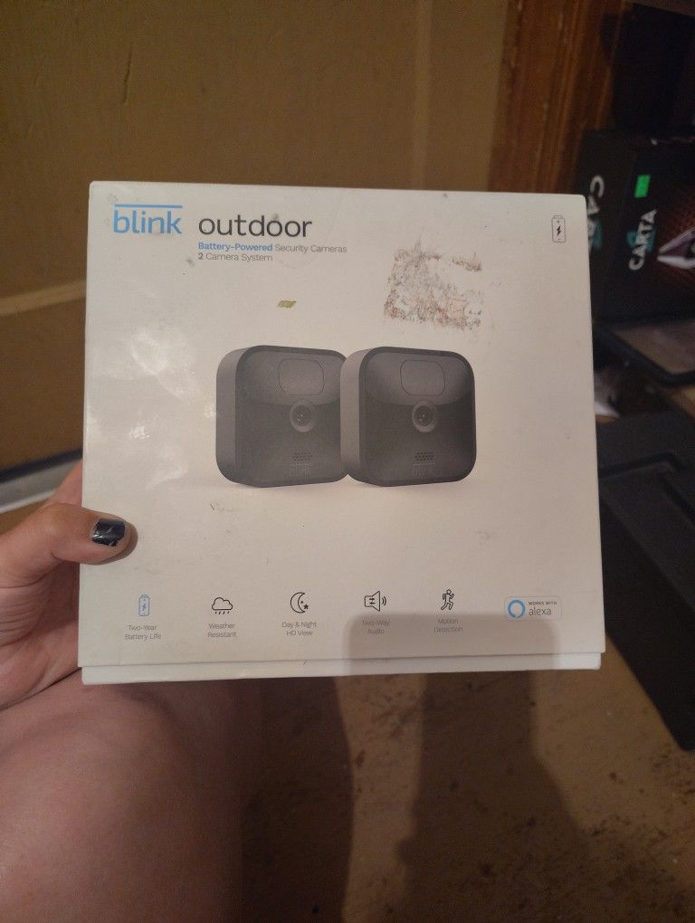 Two Blink Outdoor Weather Resistant Cameras