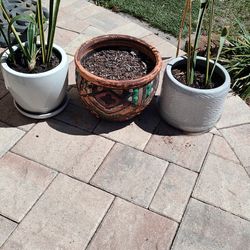 Three Garden Pots Package Deal