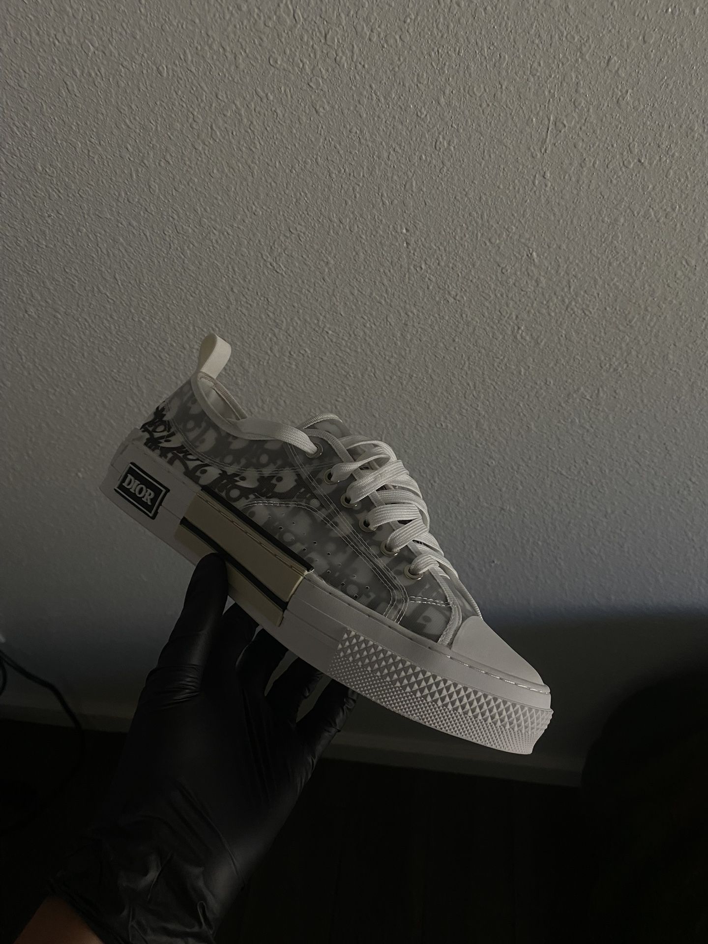 Dior b23