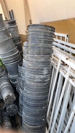 3 gallon 50 pots $20.00