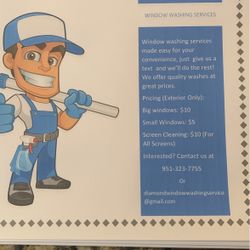 Window Washing Services