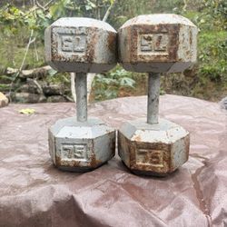75lb Dumbells