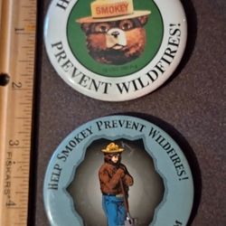 Smokey Bear Help Prevent Wildfires Vintage Collectible Lapel Pin Button Pinback Lot Of 2 A-1