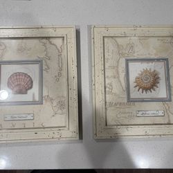 Decor - Seashells - Frames 