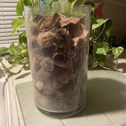 Heavy Vace W Dried Acorns N Plants