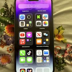 iPhone 14 Pro 256 GB 