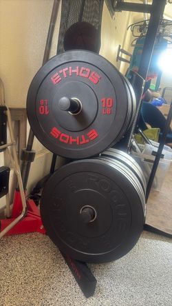 Fringe Sport & Rogue Bumper Plates - Full Set or By the Pair