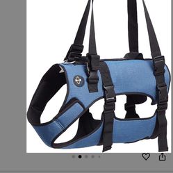 de elevación de rehabilitación de mascotas para perros viejos con artritis caminar (bola, L)      CO