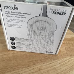 Bluetooth Showerhead