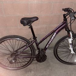 Bike Hybrid