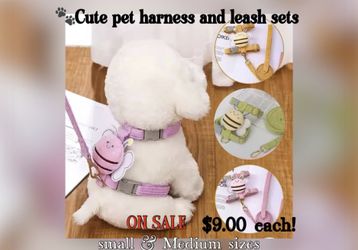 Cute Brand New Pet Harness Set Buzz 🐝 Bee .