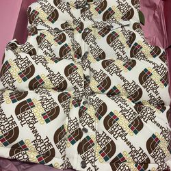 THE NORTHFACE X GUCCI DOWN VEST