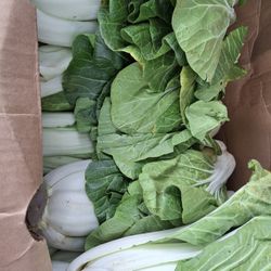 Free Veggies/ Vegetales Gratis