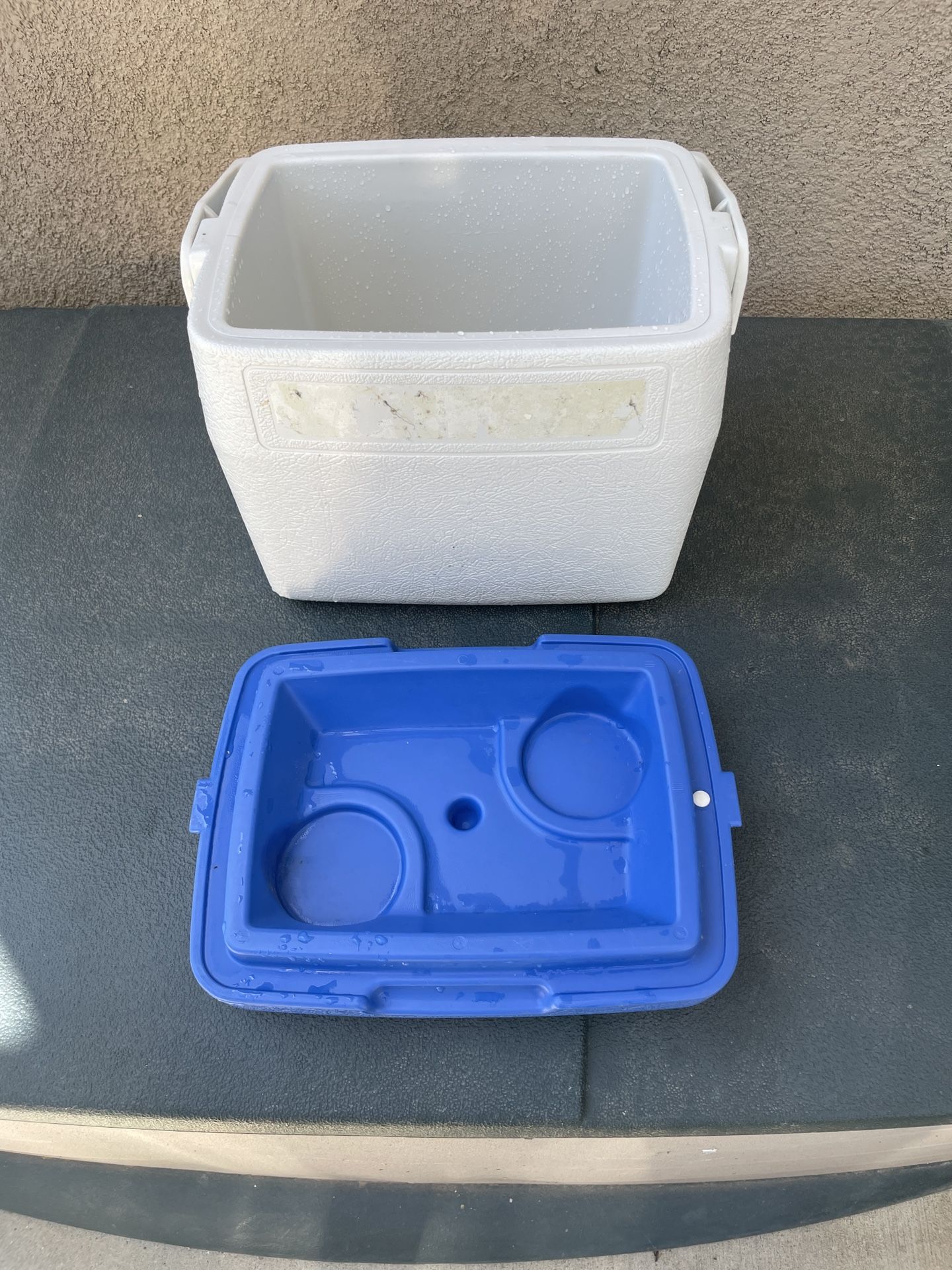 Coleman Cooler