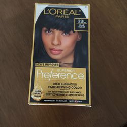 Hair Color Blue Black