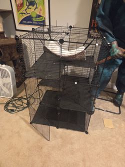 Cat Outdoor or Indoor center catio