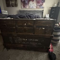 Old Trunk
