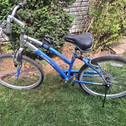 Bike 26" Upgraded Seat
