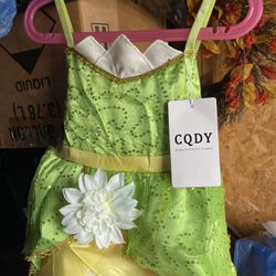 Princess Tiana assorted sizes three youth five youth and six youth