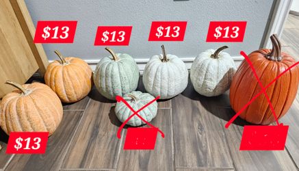 Ceramic pumpkins used 1yr