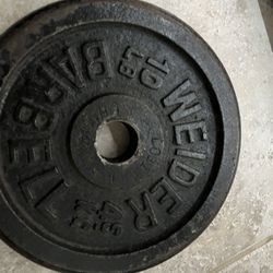 Standard Barbell With Weights 