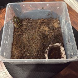 Small PAC-MAN Enclosure 