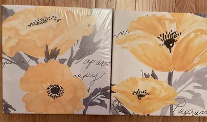 2 Pictures-12” x 12”—No Holds or Spam