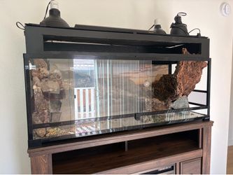 80 Gallon Reptile Tank