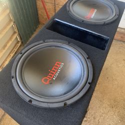 12” Acoustic Sub Woofers  With Ported Box